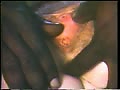 Filename=32.flv
Filesize=53835KB
Dimensions=119x79
Date added=Sep 13, 2009 32.flv