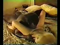 Filename=2b.flv
Filesize=53774KB
Dimensions=120x90
Date added=Aug 28, 2011 2b.flv