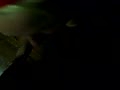 Filename=69.flv
Filesize=3612KB
Dimensions=120x90
Date added=Aug 29, 2011 69.flv