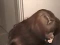 Filename=28.flv
Filesize=68019KB
Dimensions=120x90
Date added=Aug 29, 2011 28.flv
