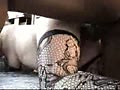 Filename=0c.flv
Filesize=87201KB
Dimensions=120x90
Date added=Aug 31, 2011 0c.flv