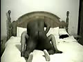 Filename=2c.flv
Filesize=65578KB
Dimensions=120x90
Date added=Aug 31, 2011 2c.flv