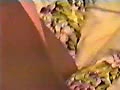 Filename=68.flv
Filesize=18925KB
Dimensions=120x90
Date added=Jan 26, 2012 68.flv