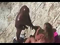 Filename=82.flv
Filesize=24130KB
Dimensions=120x90
Date added=Mar 18, 2012 82.flv