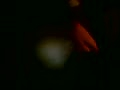 Filename=dc.flv
Filesize=1720KB
Dimensions=120x90
Date added=Jul 14, 2012 dc.flv