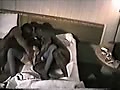 Filename=e0.flv
Filesize=18299KB
Dimensions=120x90
Date added=Aug 03, 2015 e0.flv