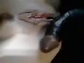 Filename=46.flv
Filesize=8338KB
Dimensions=120x90
Date added=Oct 19, 2015 46.flv
