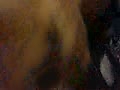Filename=50.flv
Filesize=1394KB
Dimensions=120x90
Date added=Aug 02, 2017 50.flv