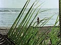 Filename=2a.flv
Filesize=15305KB
Dimensions=120x90
Date added=Jan 05, 2021 2a.flv