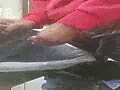 Filename=04.flv
Filesize=849KB
Dimensions=120x90
Date added=Jan 11, 2021 04.flv