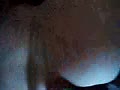 Filename=49.flv
Filesize=6088KB
Dimensions=120x90
Date added=Sep 11, 2023 49.flv