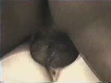 e3.flv