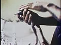 91.flv