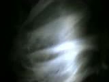a4.flv