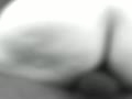 6a.flv
