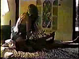 35.flv