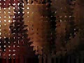 48.flv