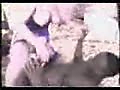 96.flv