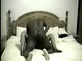 2c.flv