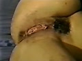 2e.flv