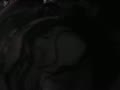 59.flv