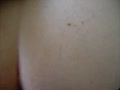 ed.flv