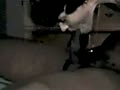 b5.flv