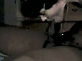 b5.flv