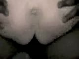 b9.flv