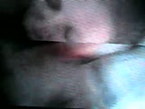 c1.flv