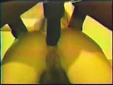 84.flv