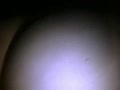 3b.flv