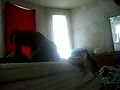 b4.flv