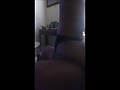 f8.flv