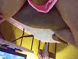 5d.flv