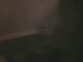 ed.flv