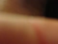 ff.flv