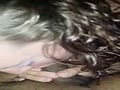 c6.flv