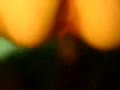 36.flv