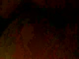 33.flv