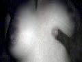 78.flv