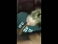 9f.flv