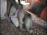 6e.flv