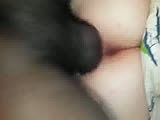 84.flv