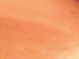 81.flv