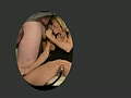 46.flv