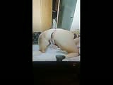 3c.flv