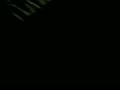 33.flv