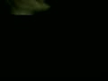 34.flv