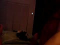 c7.flv